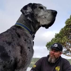 Meet your Posher, Joshua